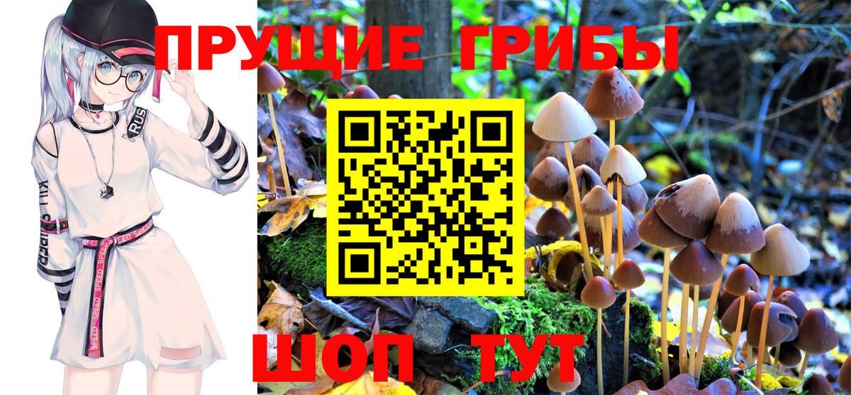 Котельники  Галлюциногенные грибы ЛСД  Псилоцибиновые грибы Psilocybe  Вход с VPN 