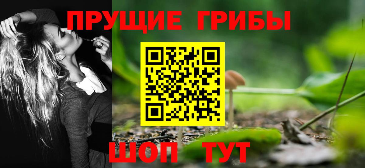 Псилоцибиновые грибы GOLDEN TEACHER Котельники